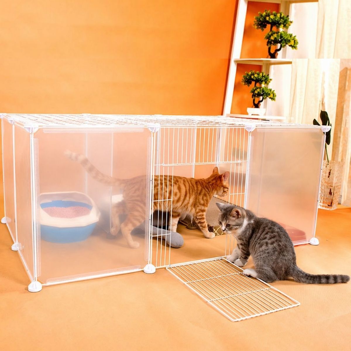 Ceruzo Dierenren - Modulair - 12 Panelen 35x45 cm - Afbeelding 2